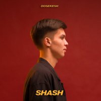 Скачать песню Dosekesh - Shash