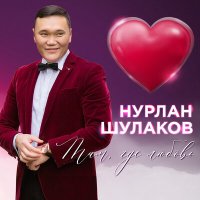 Скачать песню Нурлан Шулаков - Такая как ты