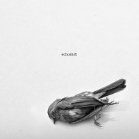 Скачать песню Echoshift - The Dead Sparrow