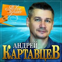 Скачать песню Андрей Картавцев - Она мне нравится