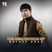 Скачать песню Navruz Umar - Tushlarimga kirayabsan ko'p