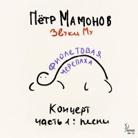 Скачать песню Пётр Мамонов, Звуки Му - Водопады