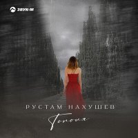 Скачать песню Рустам Нахушев - Тополя