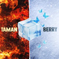 Скачать песню TAMAN, Berry - На разных берегах