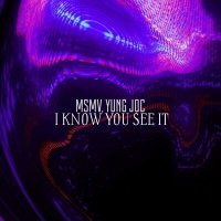Скачать песню MSMV, Yung Joc - I Know You See It