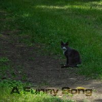 Скачать песню vitos - A Funny Song