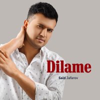 Скачать песню Said Jafarov - Dilame