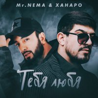 Скачать песню Mr. NЕMA, Ханаро - Тебя любя