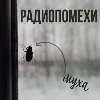 Скачать песню Радиопомехи - Муха