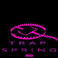 Скачать песню TACNENADO, Робси - TRAP SPRING