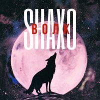 Скачать песню SHAXO - Волк
