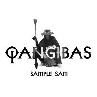 Скачать песню Sample Sam - QANGIBAS