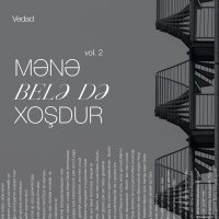 Скачать песню Vedad - Sevməyə Başlasam