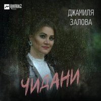 Скачать песню Джамиля Залова - Чидани