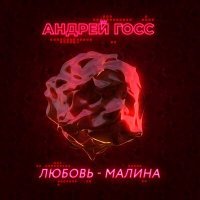 Скачать песню Андрей Госс - Любовь-Малина