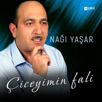 Скачать песню Naği Yaşar - Sev meni