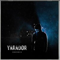 Скачать песню Шохрух - Yarador