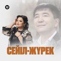 Скачать песню Роза Әлқожа - Сейіл-жүрек