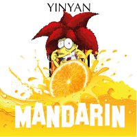 Скачать песню YiNYAN - Mandarin