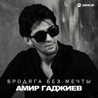 Скачать песню Амир Гаджиев - Бродяга без мечты