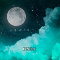 Скачать песню DNDM - The Moon In The Sky