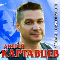 Скачать песню Андрей Картавцев - Моя любовь-это ты