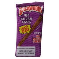 Скачать песню SOUNDVEY - Backwoods