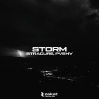 Скачать песню STRACURE, PVSHV - STORM