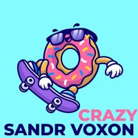 Скачать песню Sandr Voxon - Crazy