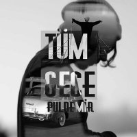 Скачать песню Puldemir - Tüm Gece