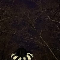 Скачать песню LONEVATE - Я так тебя люблю