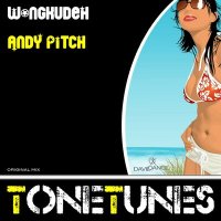 Скачать песню Andy Pitch - Wongkudeh