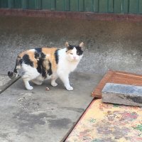 Скачать песню psychokilla - sight m3