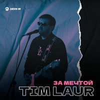 Скачать песню Tim Laur - За мечтой