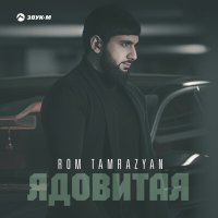 Скачать песню Rom Tamrazyan - Ядовитая