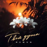 Скачать песню Rvmvn - Твоя душа