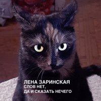 Скачать песню Лена Заринская - Когда хвоя сосны опадет