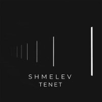 Скачать песню SHMELEV - TENET