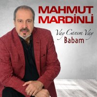 Скачать песню Mahmut Mardinli - Vay Canım Vay