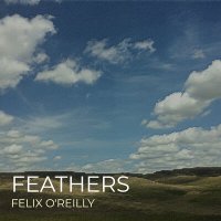 Скачать песню Felix O'Reilly - Feathers