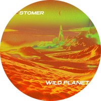 Скачать песню Stomer - Wild Planet