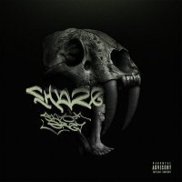 Скачать песню Sayo Grey - Chase