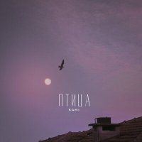 Скачать песню KAMI - Птица