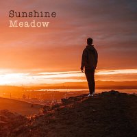 Скачать песню FXZEN - Sunshine Meadow