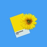 Скачать песню Narul - Unemdeme