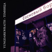 Скачать песню YUNGDARKWRAITH - ТЕМНИЦА