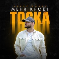 Скачать песню Адлер Коцба - Меня кроет тоска