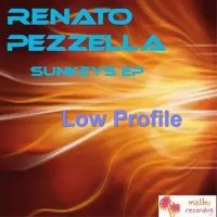 Скачать песню Renato Pezzella - Low Profile