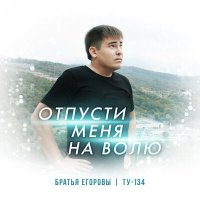 Скачать песню Братья Егоровы - Отпусти меня на волю