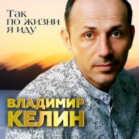 Скачать песню Владимир Келин - Так по жизни я иду